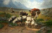 Schafherde mit Esel und Schafer auf einer Hochebene